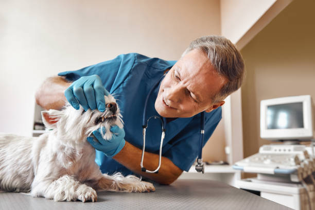 Best Emergency Dental Care for Abscessed Tooth in Glenpool, OK